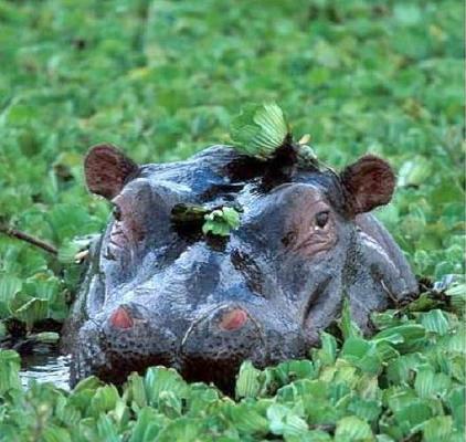 Евгений Хабибуллин