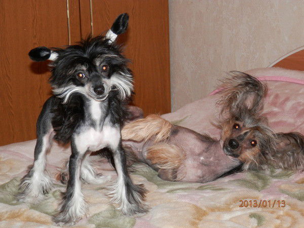 Ольга Воронцова