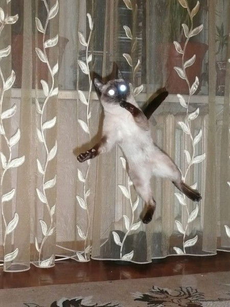 Наталья Логвинова