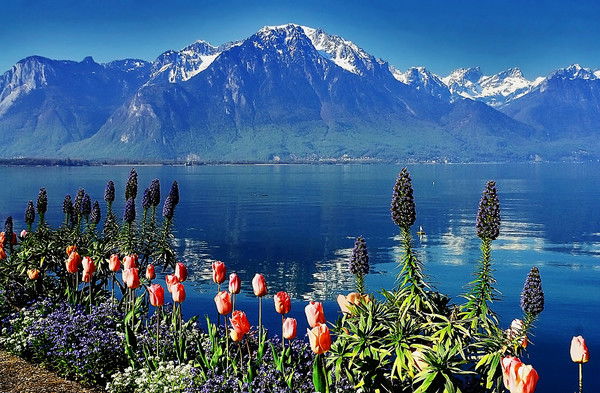 Омуркан Ашимбаева