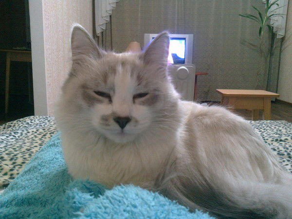 Людмила Кабакова