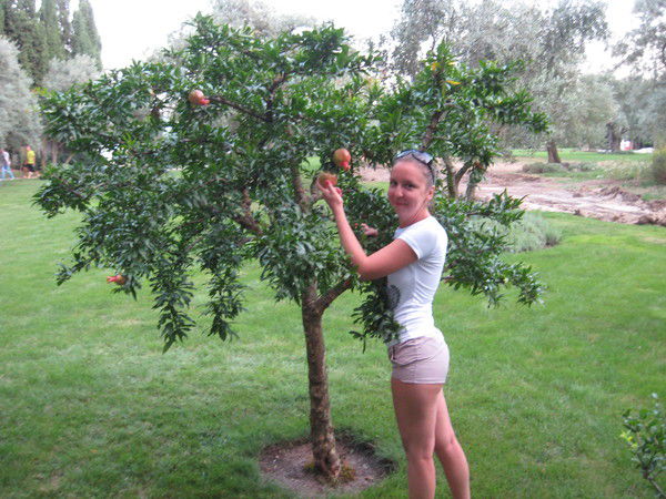 Лилия Горбачева