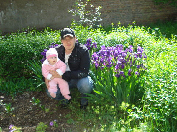 Владислав Куликов