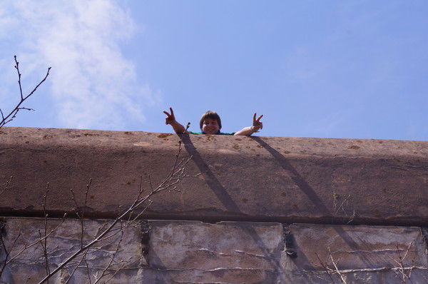 Алекс Бекет