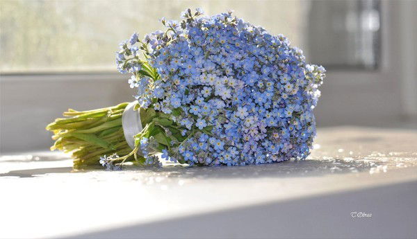 Светлана Каташова