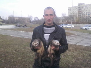 Александр Кушнарев