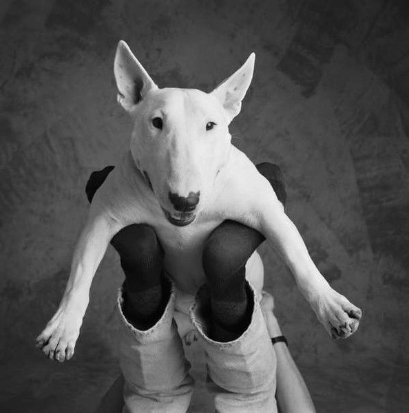 Марина Дроздова