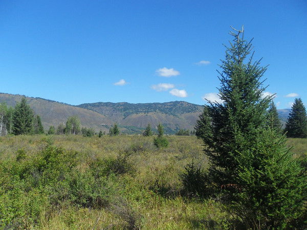 Бауржан Беткенбаев