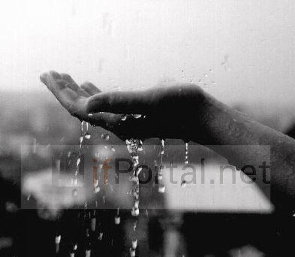 Татьяна Федорова