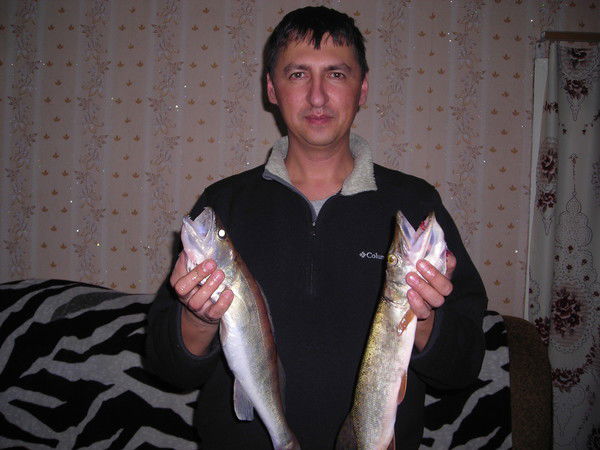 Ренат Файзуллин