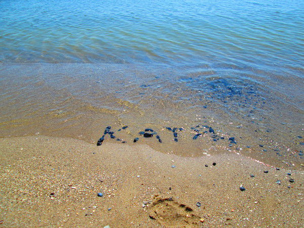 Екатерина Волкова