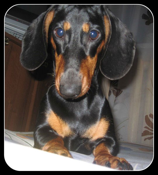 Торюшка Степанова