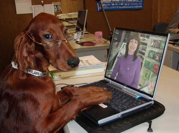 Зульфия Халлиулина