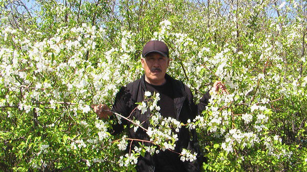 Кана .гамидулла Жумекен