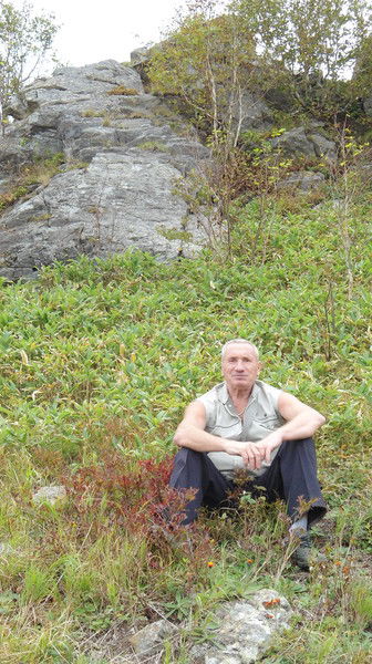 Вилис Тауренис