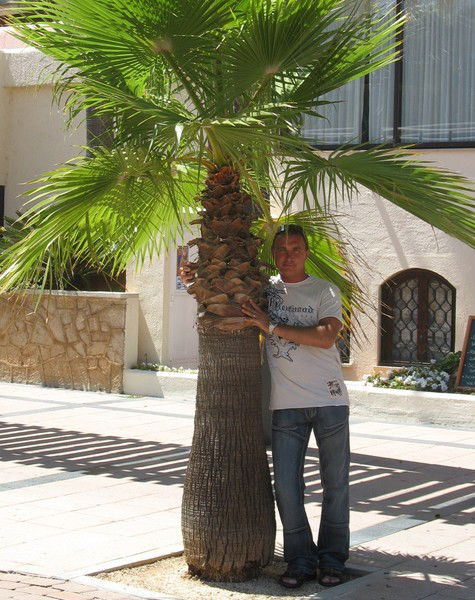 Ческидов Евгений