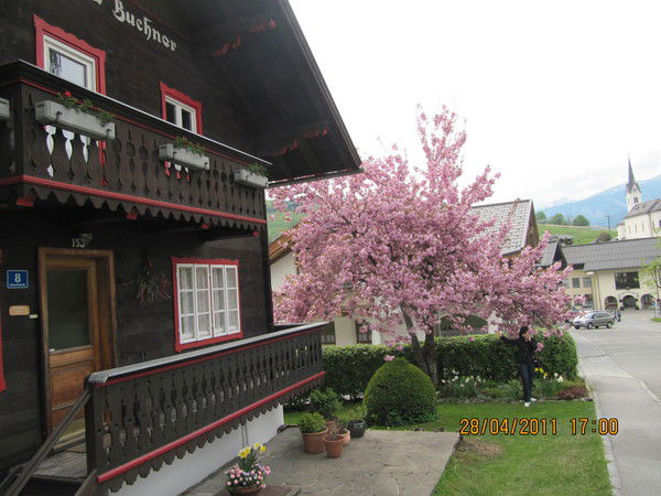 Юлия Козаченко