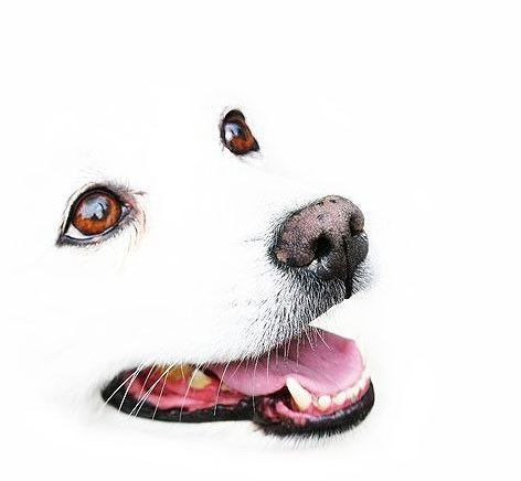 Мария Астахова