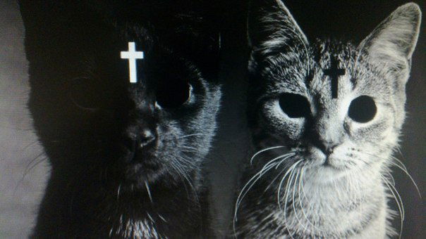 Алина Деменкова