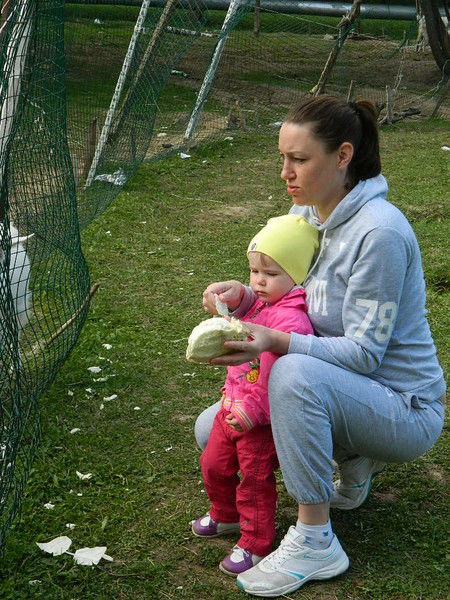 Victoria Kondratenko Roy