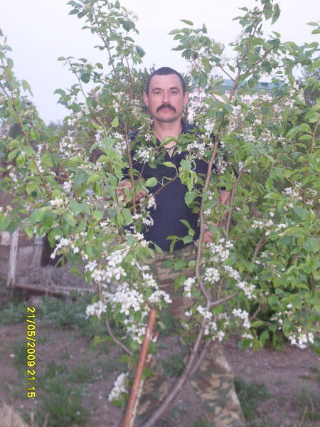 Александр Басаргин