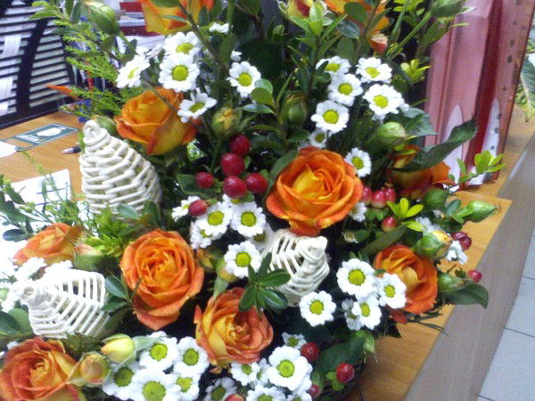 Эльмира Матчанова