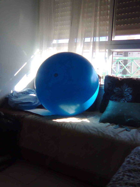 Елена Ногинская