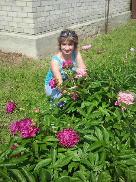 Светлана Костерина