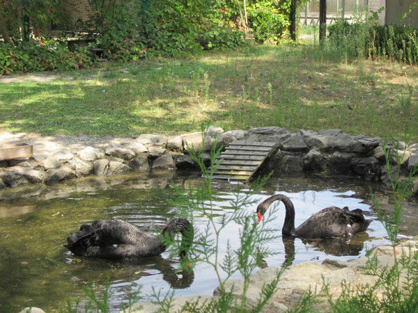 Наталия Рябко