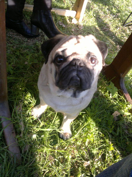 Наталия Онищенко