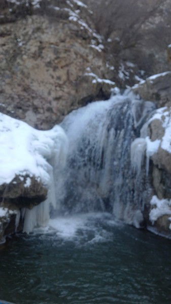 Владимир Петров