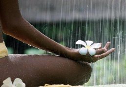 Светлана Антипина