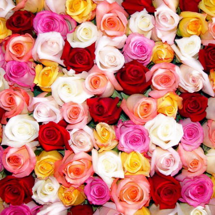 Айман Келасева