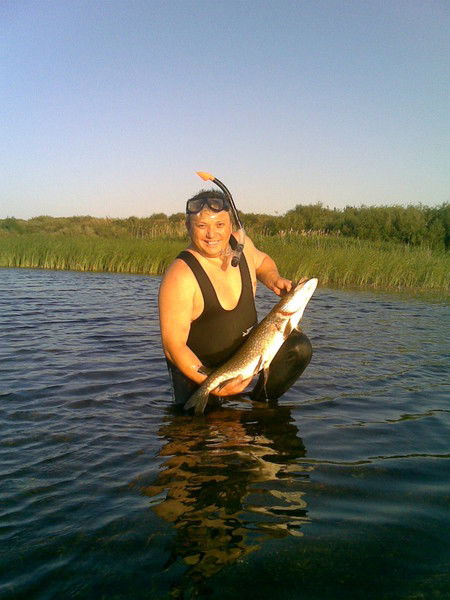 Андрей Набибулин