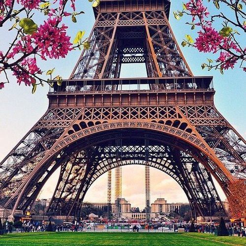 .the Beautiful Girl.