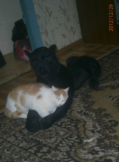 Карина Морозова