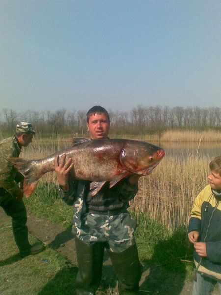 Демьян Лучинкин