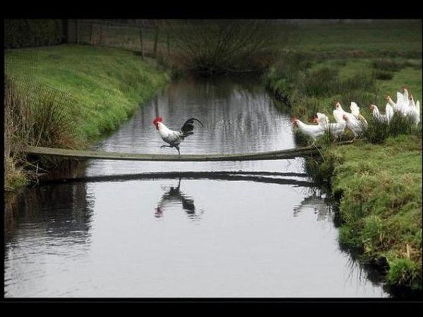 Елена Максимова