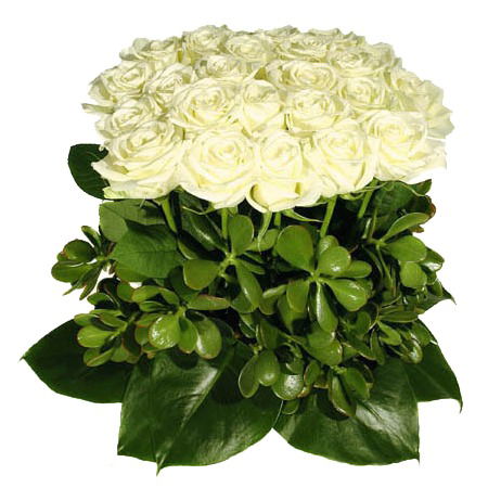 Айгерим Еркинбековна