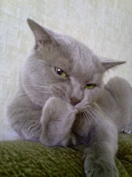 Ирина Бурлак