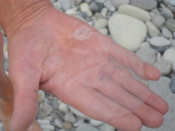 Андрей Рычков