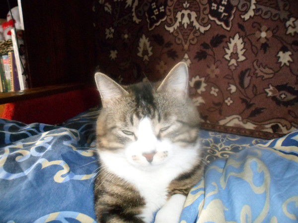 Татьяна Арлашина