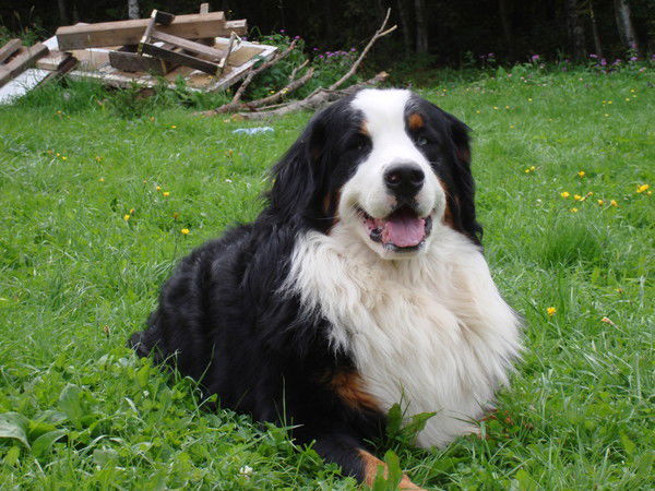 Татьяна Рюмкова