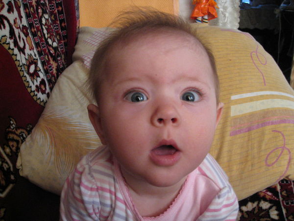 Добровольский Сергей