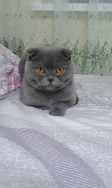 Оксана Локтева