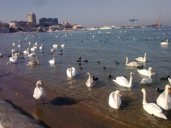 Евгений Шахлин