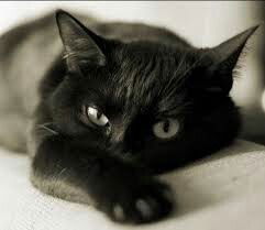 Алена Дольникова