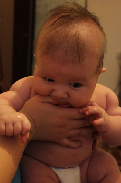 Гала Геберт