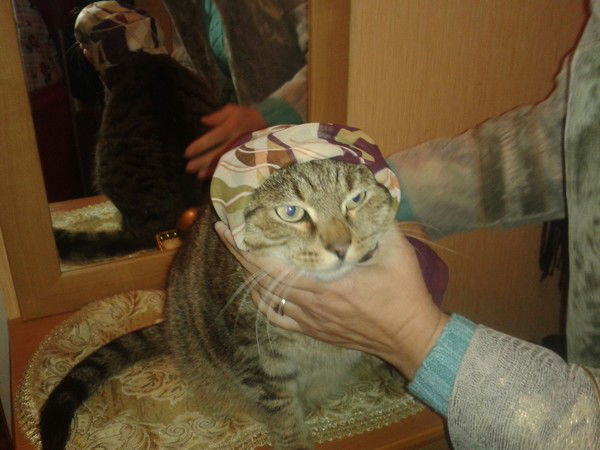 Татьяна Махнева