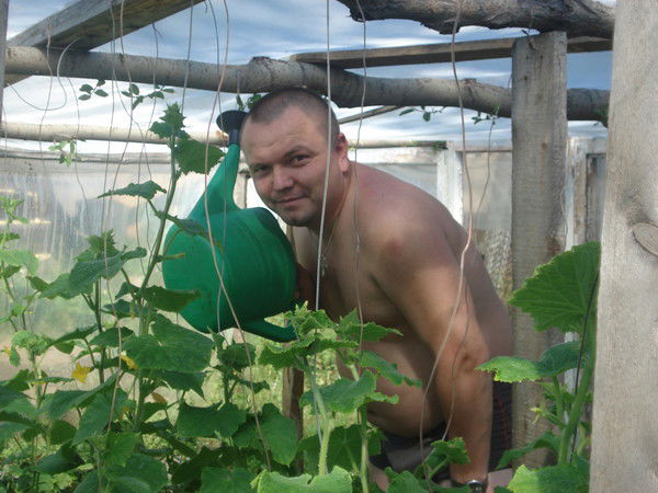 Сергей Шейко